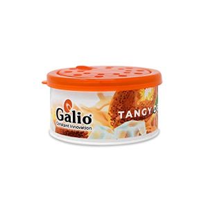 Galio Air Freshener Tangy Delight For Car Home and Office (65g) Pack of 1 (Tangy Delight)