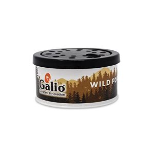 Galio Air Freshener Lemon For Car Home and Office (90g) Pack of 1 (Wild Forest, 65g)